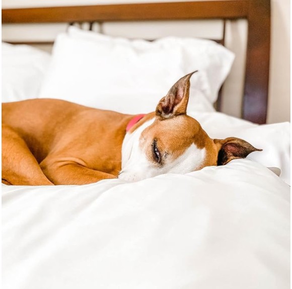 Luxurious Viscose Derived from Bamboo King Duvet Cover Set - Corner Ties - Zipper Enclosure - Wonderfully Soft - Matte White - 3pc Cover + 2 Pillowcases