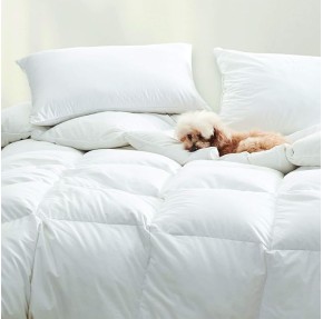 Dreamstead Percale Down Alternative Comforter | All Season | Queen Size 92" x 88" | Hypoallergenic & Oeko-TEX Standard 100 Certified | Soft, Lofty, Cloudlike | Handcrafted Duvet Insert