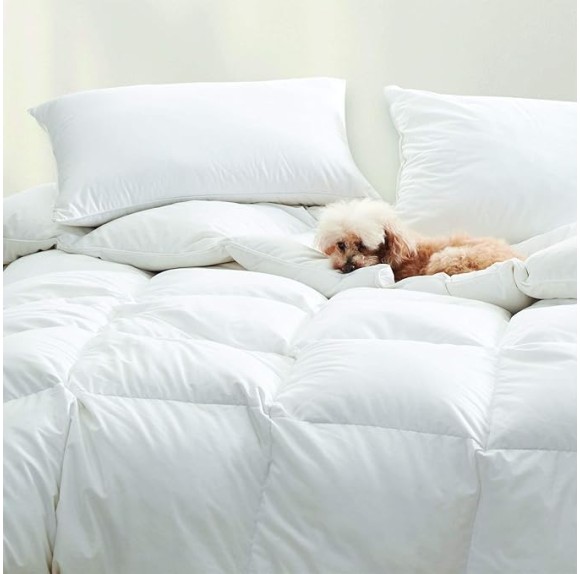 Dreamstead Percale Down Alternative Comforter | All Season | Queen Size 92" x 88" | Hypoallergenic & Oeko-TEX Standard 100 Certified | Soft, Lofty, Cloudlike | Handcrafted Duvet Insert