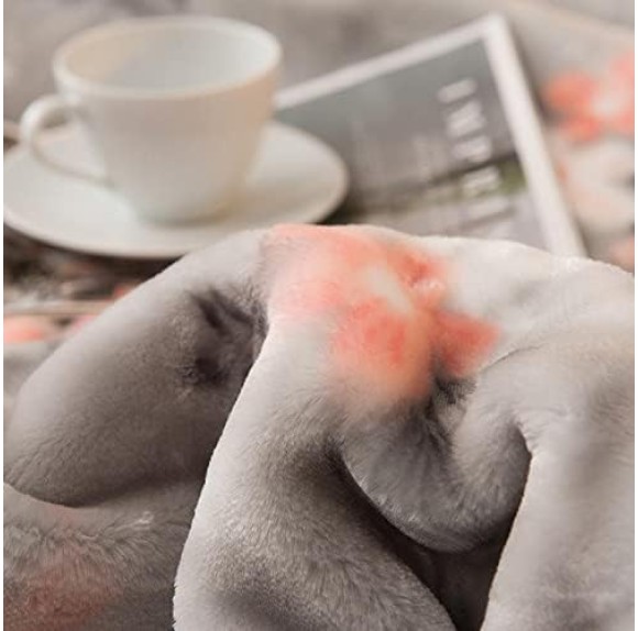 Korean Mink Blanket Plush Blanket Twin Size 60" x 80",5 Pounds Heavy Fleece Cherry Blossom Pink Blanket Silky Soft Warm 2 Ply Throw A&B Printed Raschel Bed Blanket