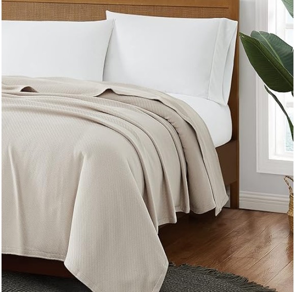 FRYE Cotton Woven Beige King Blanket