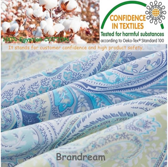 Blue Paisley Queen Size Sheet Set Luxury Floral Boho Bohemian Medallio Neutral Bedding Collections 800 Thread Count 100% Egyptian Cotton Deep Pocket, 4 Piece