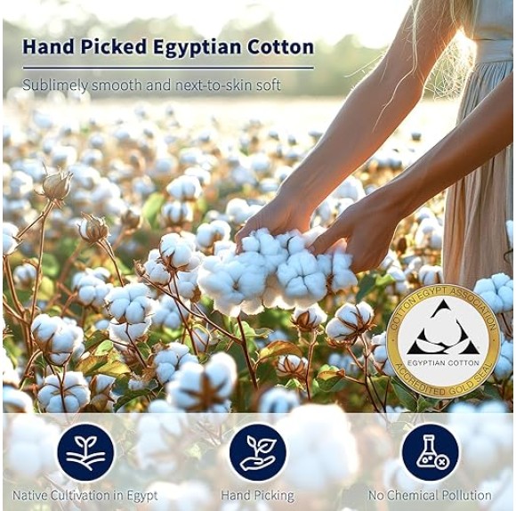 100% Cotton King Size Sheets Set - 600 Thread Count，Luxury Egyptian Cotton Bed Sheets，5-Star Hotel Quality Sheets, Breathable & Cooling, 16 Inch Deep Pocket - 4 Piece (Beige, King)